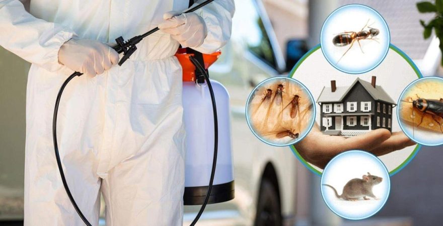 Ayancık Böcek İlaçlama