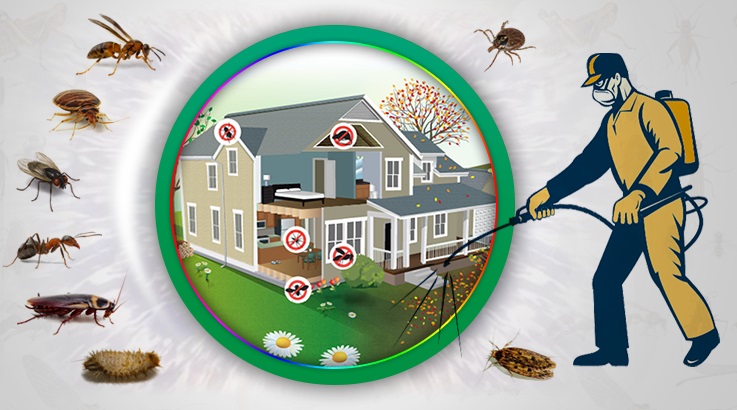 Ayancık Böcek İlaçlama