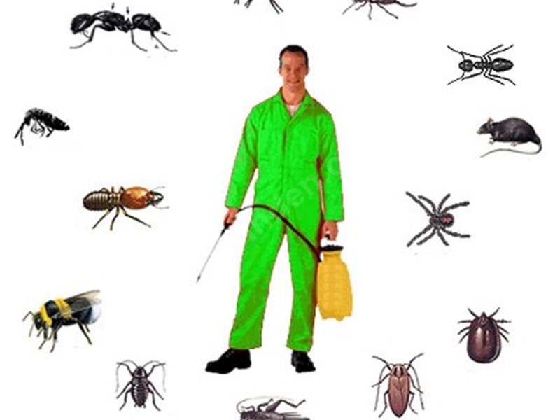 Ayancık Böcek İlaçlama